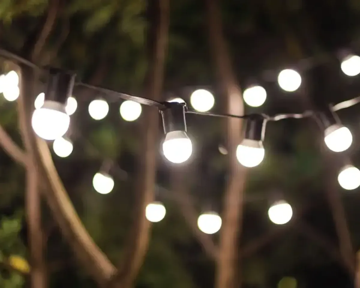 Fairy Lights and Festoons